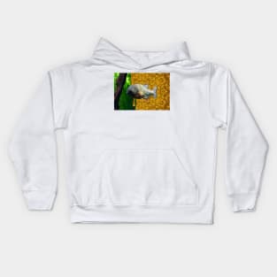 Piranha Kids Hoodie